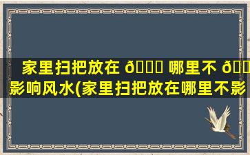 家里扫把放在 🍀 哪里不 🐕 影响风水(家里扫把放在哪里不影响风水运势)